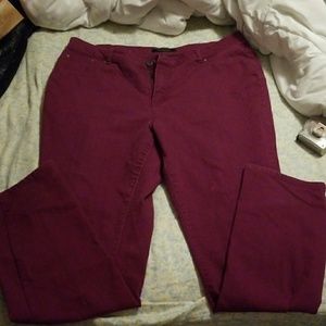 Ashley Stewart plum straight leg jeans